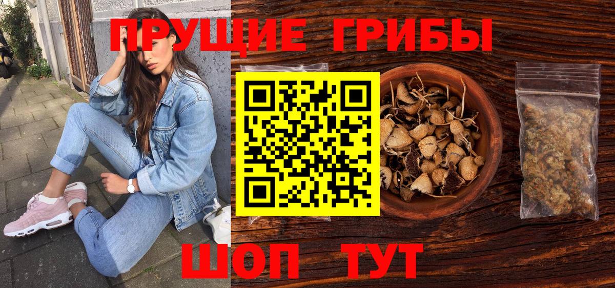 Псилоцибиновые грибы прущие грибы  купить наркотики сайты  Киров  Вход с VPN 
